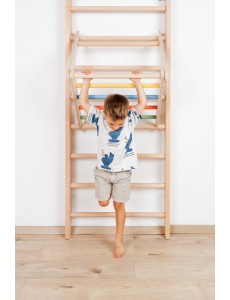  Farbe: BuntHöhe: Höhe 220 cmHöhe: Höhe 240 cm