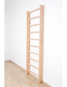 SPORT-0 -  HOLZSCHÄDEN-VISUELL