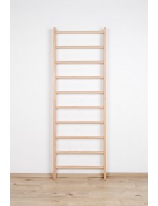 SPORT-0 -  HOLZSCHÄDEN-VISUELL